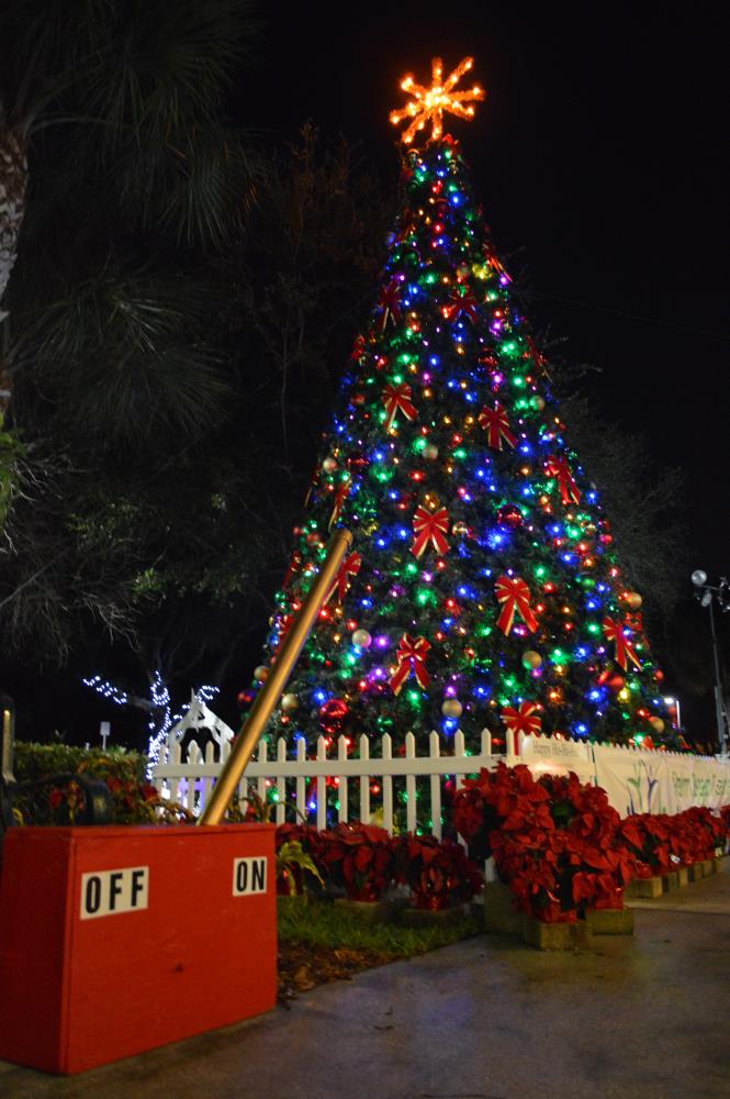 Tree Lighting 2014 165